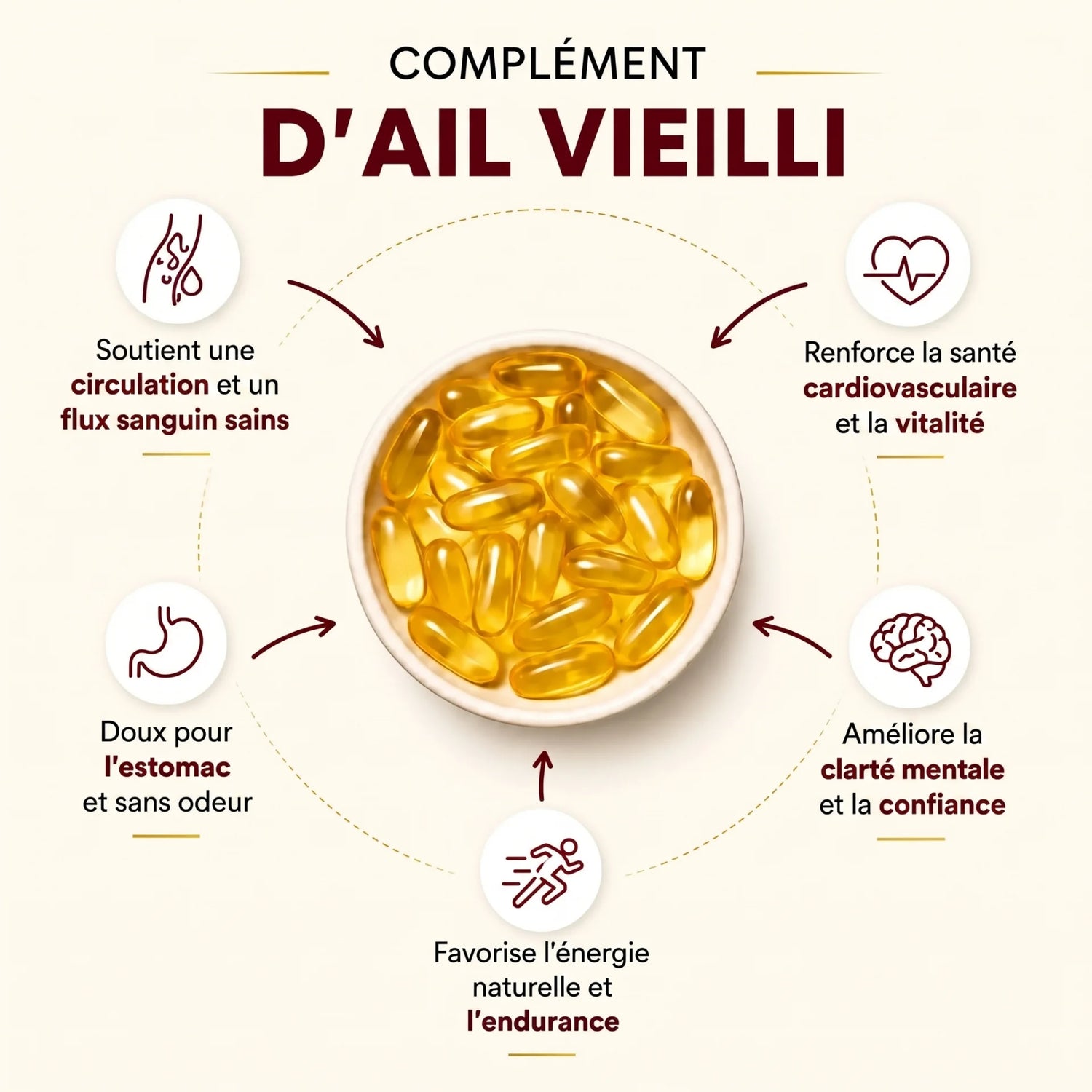 Extrait d'Ail Vieilli - Circulation & Vitalité